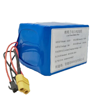 36V4.0Ah (10S2P) Lithium-ion Battery Pack HA076