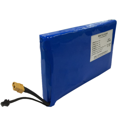 21.6V10.0Ah (6S4P) Lithium-ion Battery Pack HA041