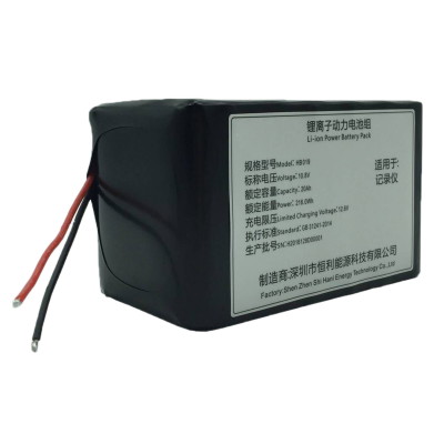 10.8V20.0Ah (3S6P) Lithium-ion Battery Pack HB019 for DV Video