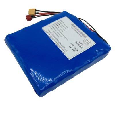60V2.2Ah (16S1P) Lithium-ion Battery Pack HA006