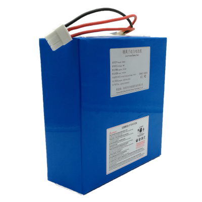 48V20.3Ah (13S10P) Lithium-ion Battery Pack HA062