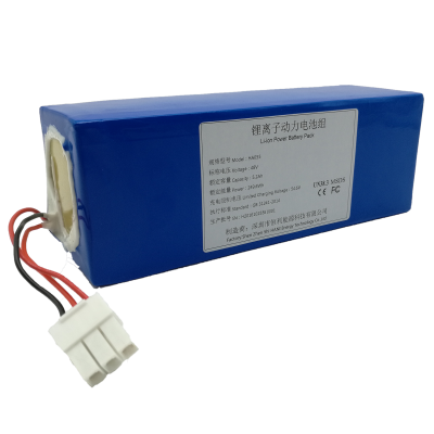 48V5.2Ah (13S2P) Lithium-ion Battery Pack HA055